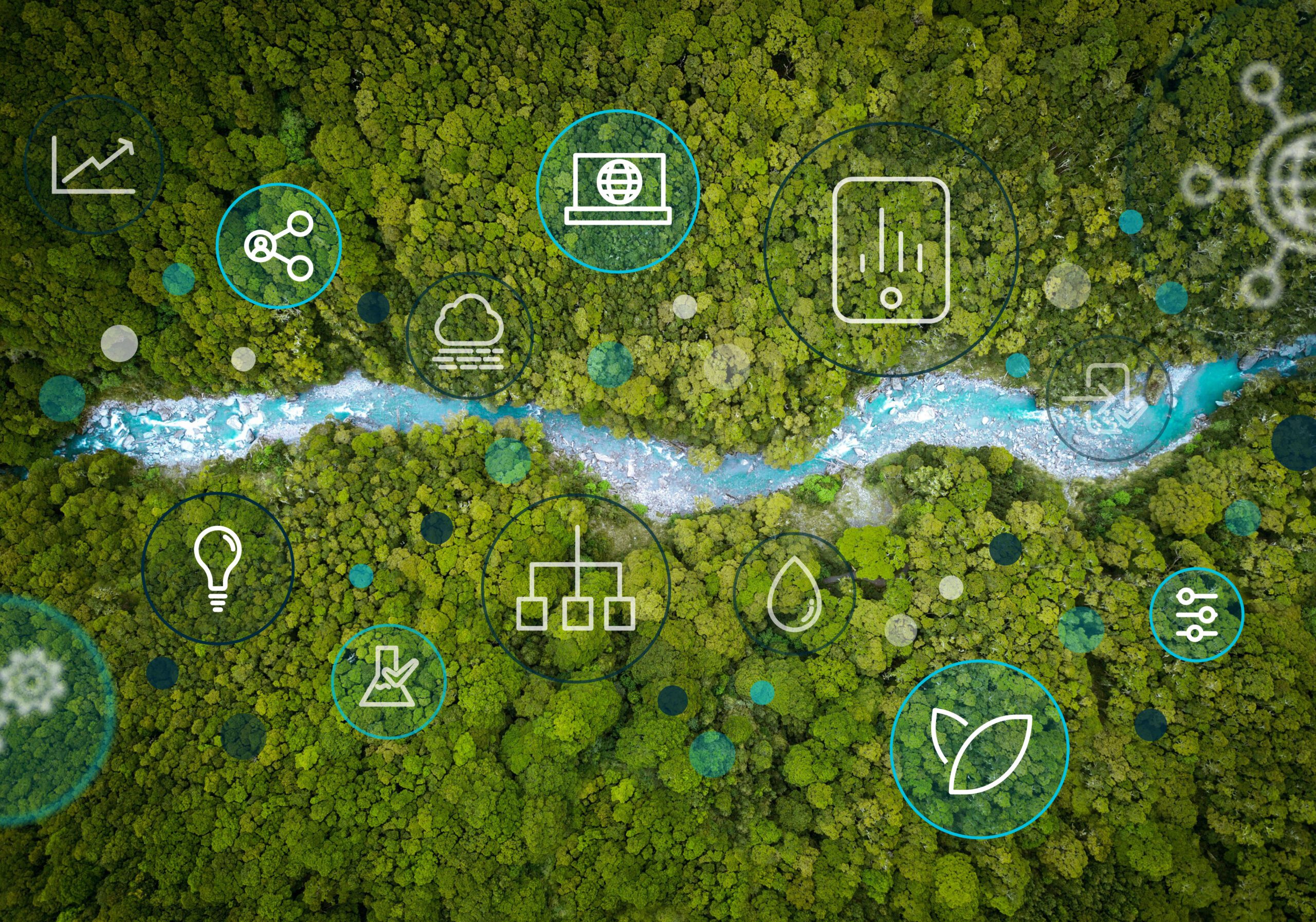Supply Chain Features